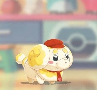 パピモッチ