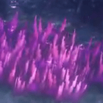 毒の草むら