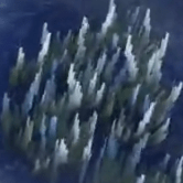 草むら