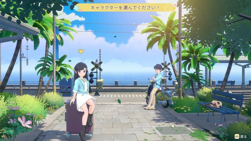 性別を決める