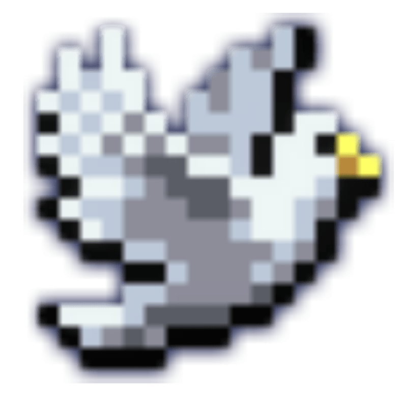 純白の鳩