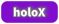 秘密結社holoX