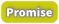 Promise