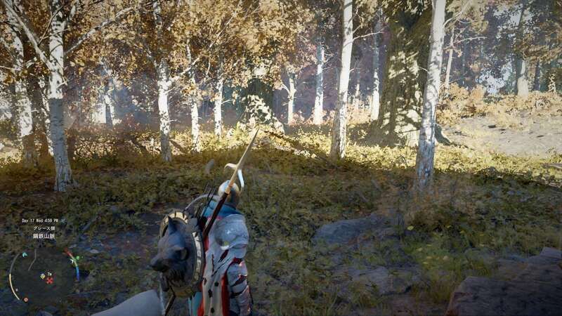 ロケイドの出現場所のゲーム画面