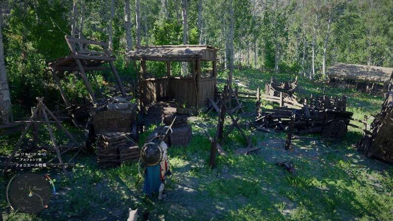 青月迷宮