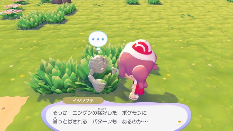 イシツブテ出会い4