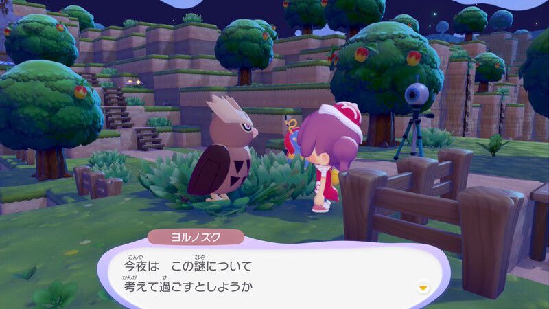 ヨルノズク出会い3