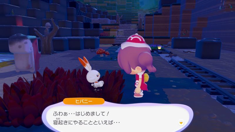 ヒバニー出会い1