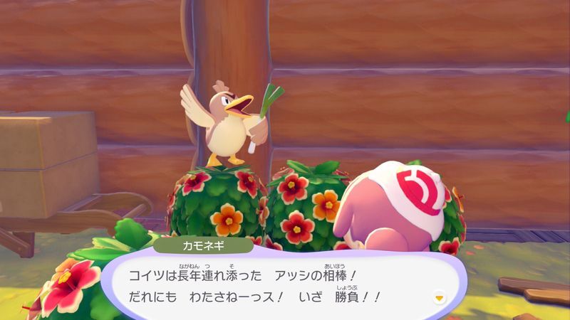 カモネギ出会い3