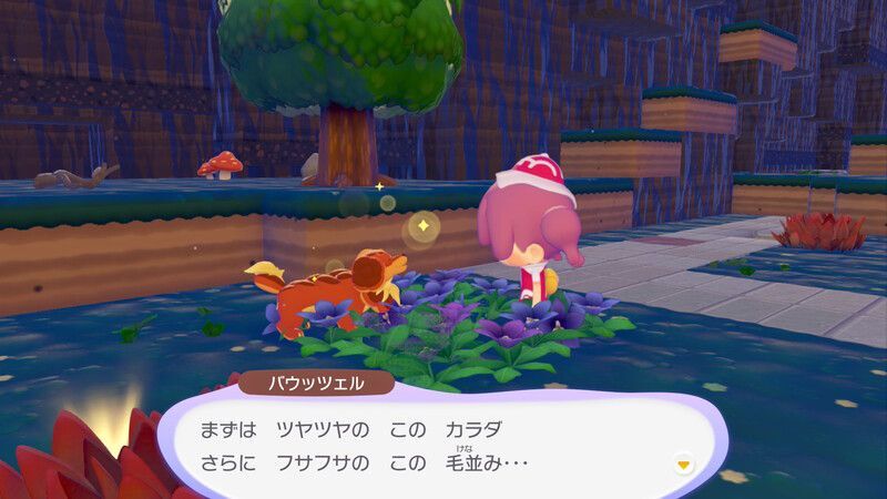 バウッツェル出会い3