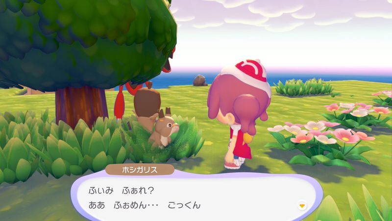 ホシガリス出会い1