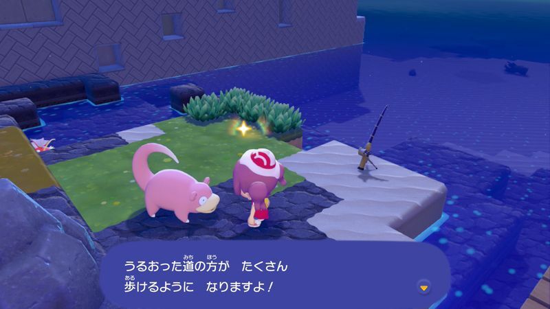 ヤドンを見つけよう！13