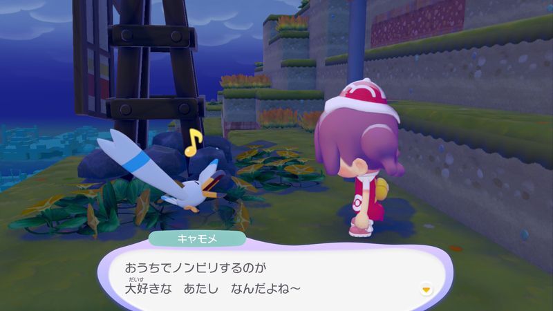 キャモメ出会い3