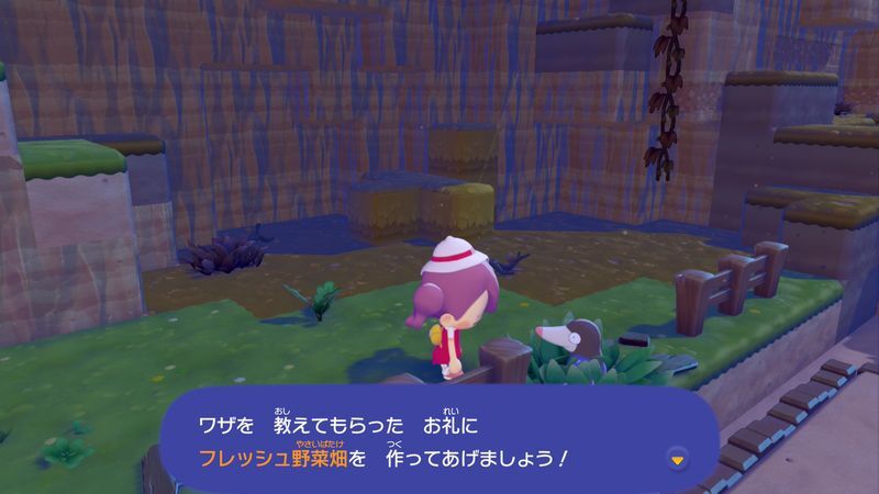 すみかを作っててあげよう！（モグリュー）13