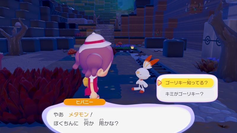 ポケモンから話を聞こう！4