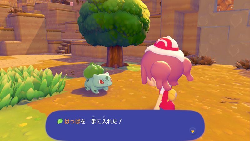 ポケモンに　話しかけよう！（フシギダネ）②2