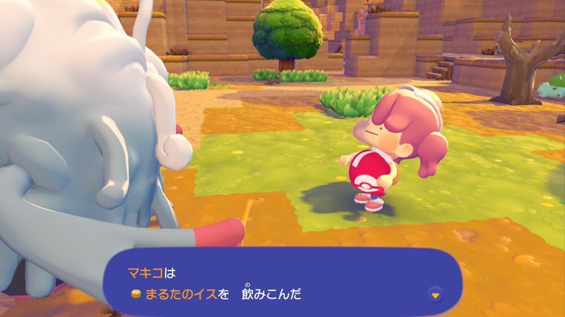 ヒメリのみをあげよう！17