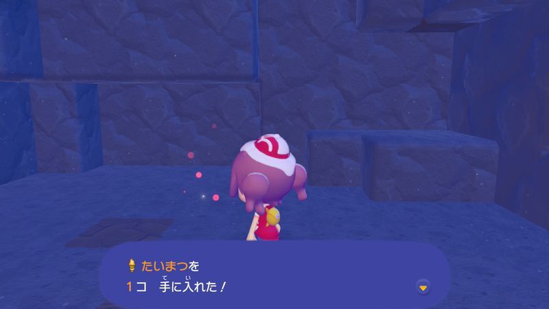 たいまつ入手2