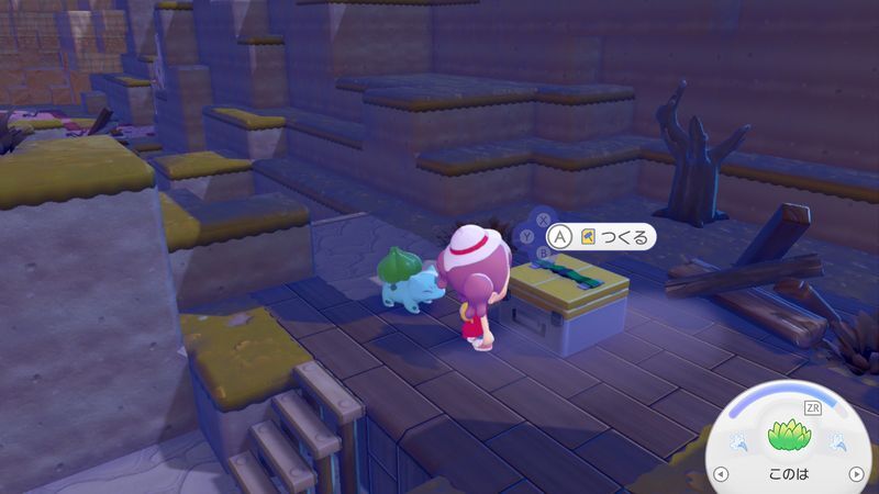 フシギダネについて行こう！6