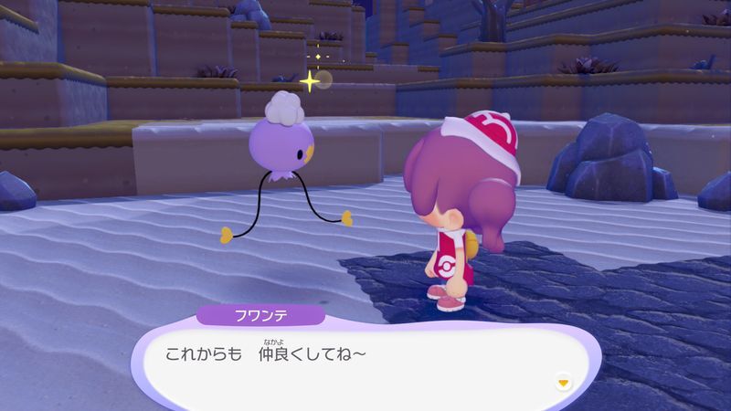 すみかを作っててあげよう！（フワンテ）13