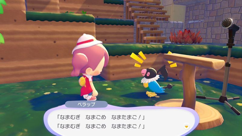 ペラップ出会い4