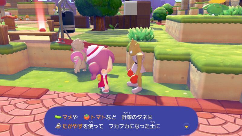マメを育てよう！8