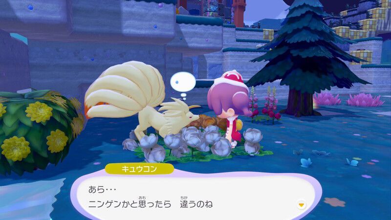 キュウコン出会い1