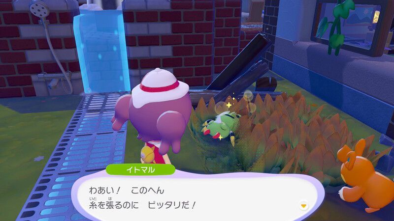 イトマル出会い1