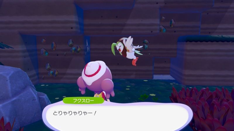 とまり木を置こう！20