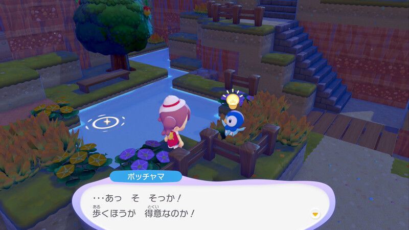 ポッチャマ出会い3
