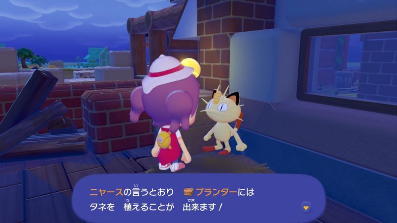プランターで花を咲かせよう！23