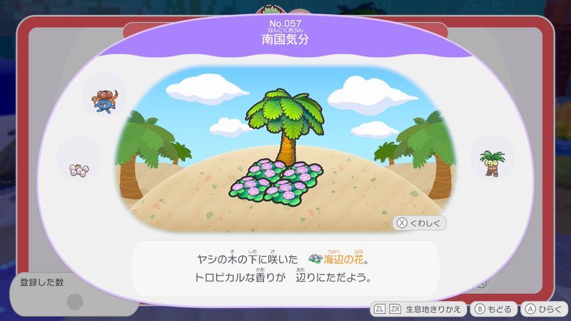 南国気分