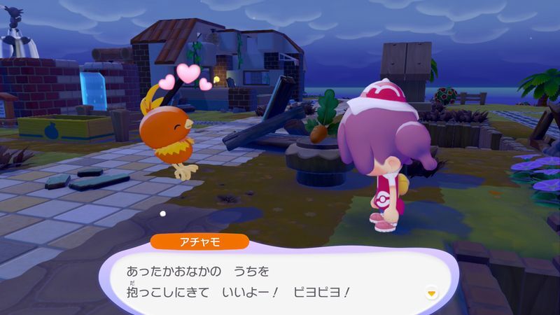 アチャモ出会い6