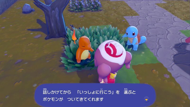 火が使えるポケモンに出会おう！7