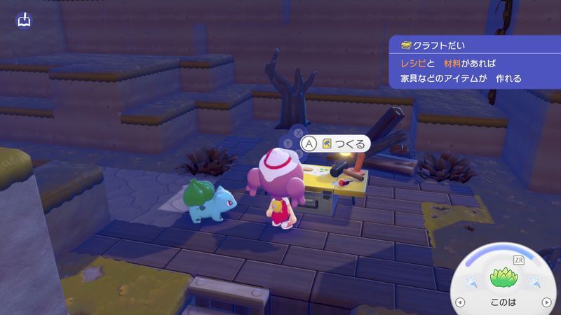 フシギダネについて行こう！9
