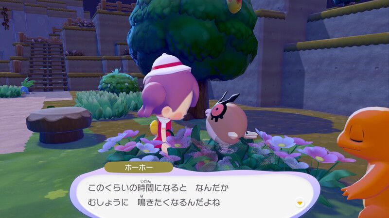 ホーホー出会い3