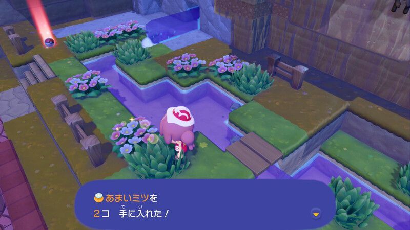 あまいミツ入手2