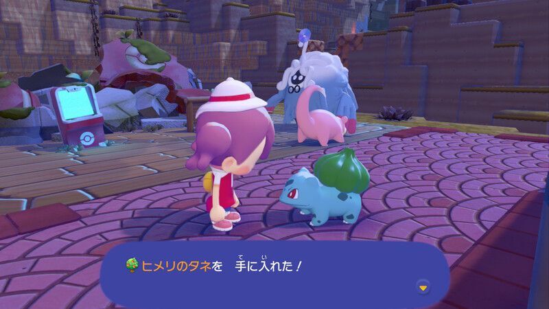 周りの木に水をあげよう！9