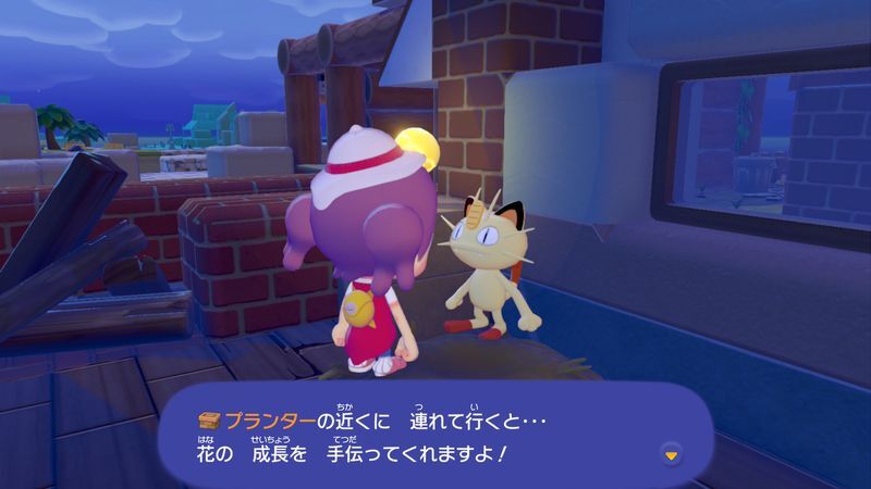 プランターで花を咲かせよう！26