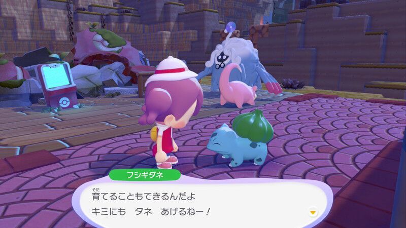周りの木に水をあげよう！8