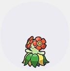 キレイハナアイコン
