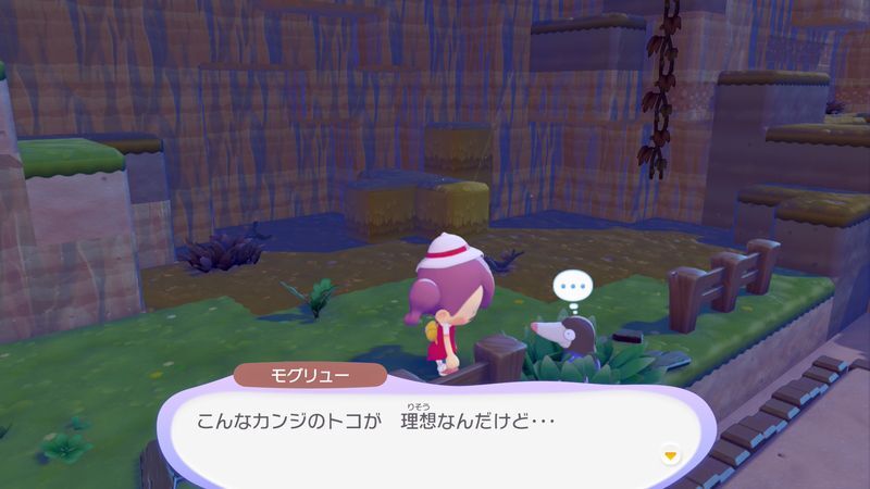 すみかを作っててあげよう！（モグリュー）5