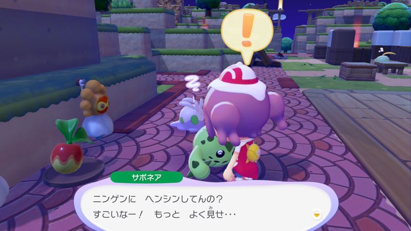 サボネア出会い3