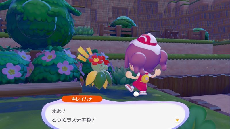 キレイハナ出会い5