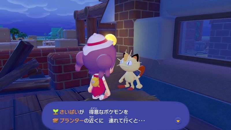 プランターで花を咲かせよう！25
