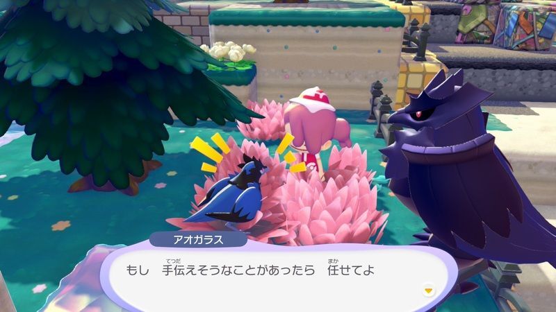 アオガラス出会い5