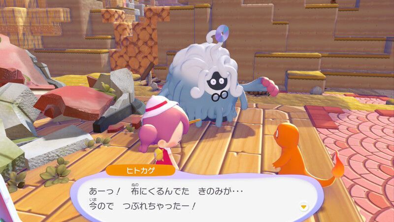 ヒトカゲを連れて行こう！14