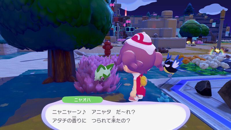 ニャオハ出会い1