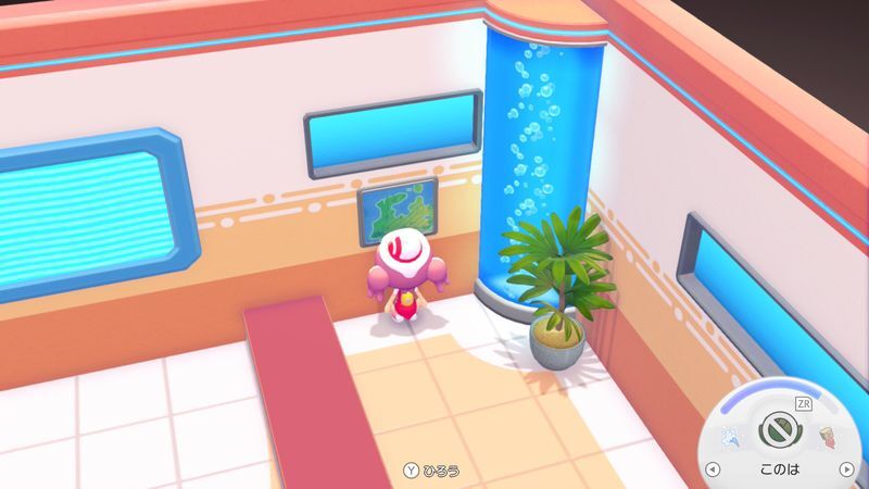 タウンマップ入手1