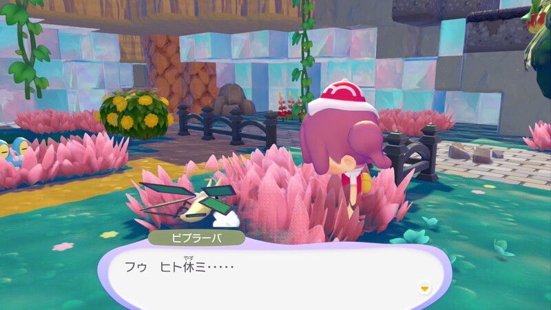 ビブラーバ出会い1